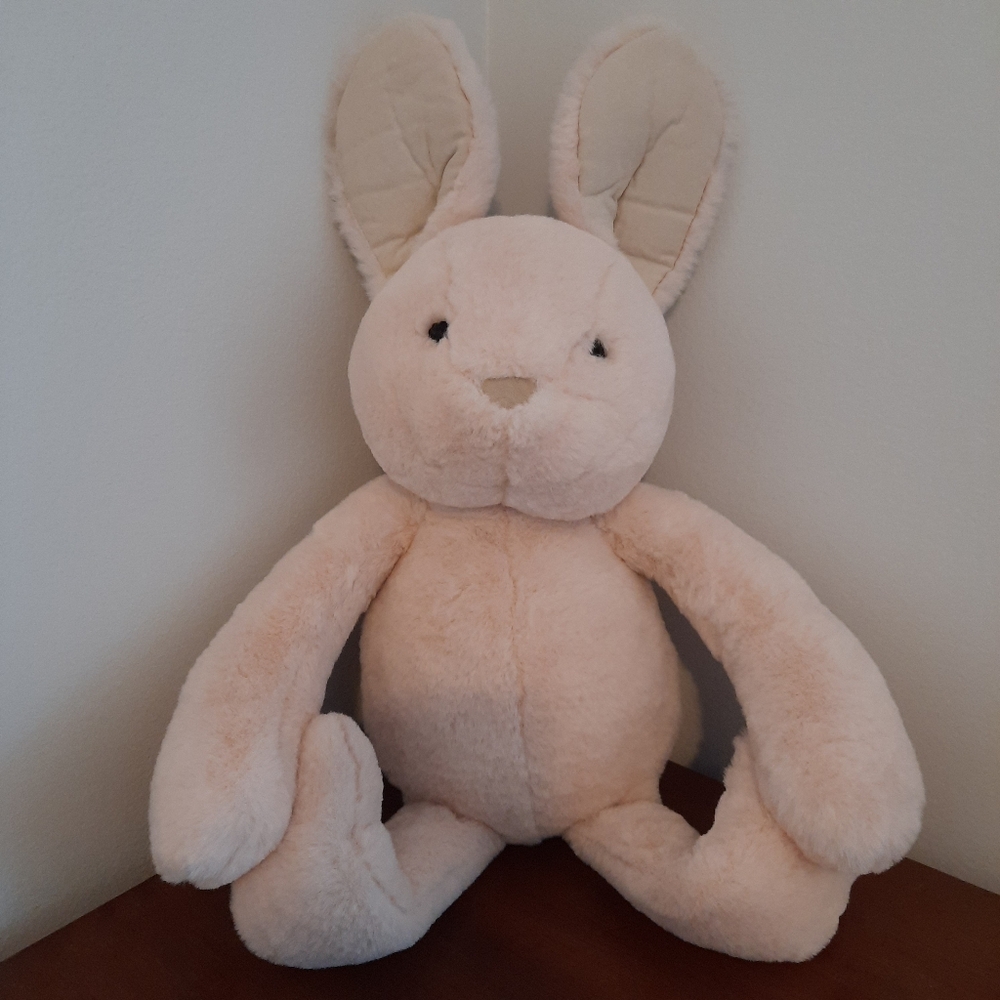 Pottery Barn Kids Plush Bunny Rabbit In Soft Pale Pink